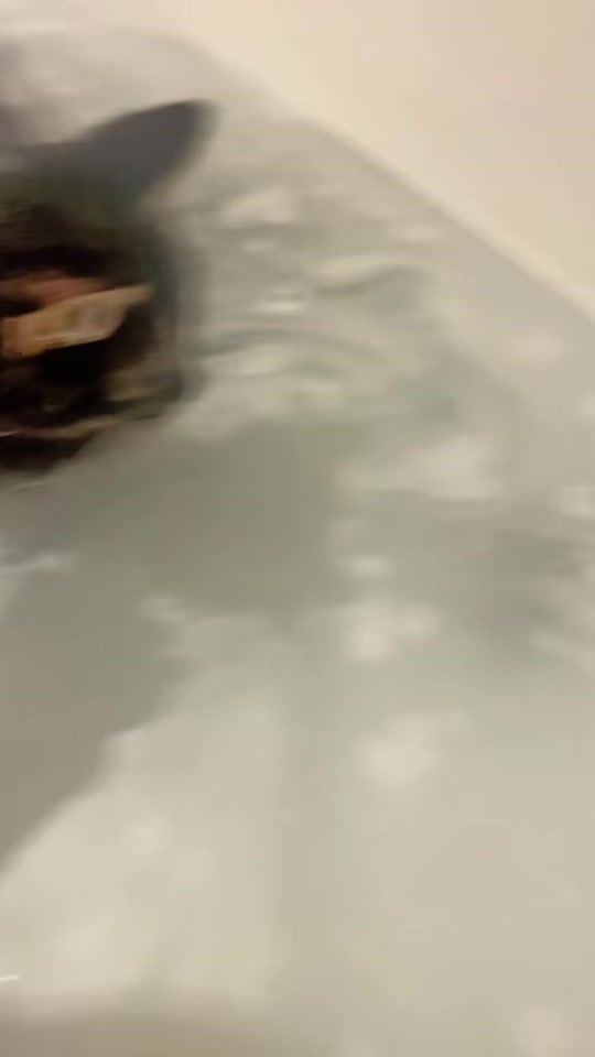 TikTok video thumbnail by lukas.jamoul
