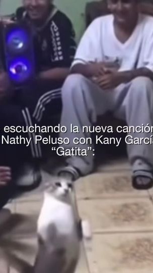 TikTok video thumbnail by peluso.fanathykos