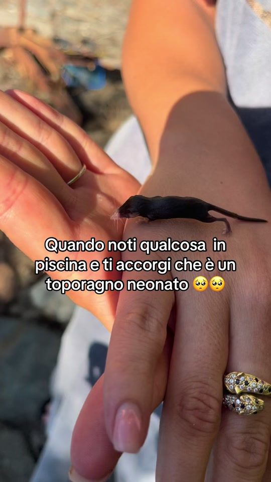 TikTok video thumbnail by lunacugis