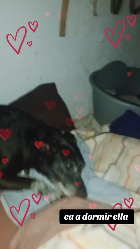 TikTok video thumbnail by eli.diaz448