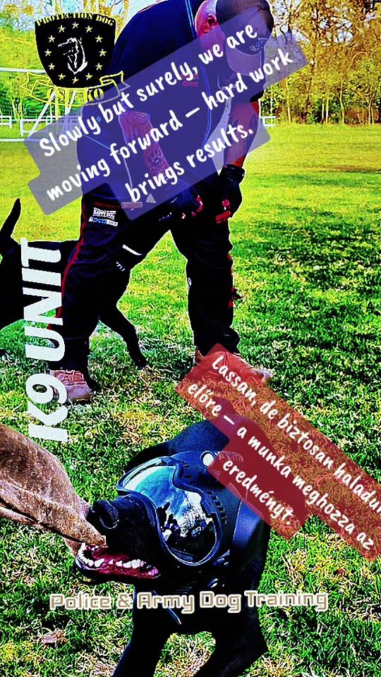 TikTok video thumbnail by csabacsicsay
