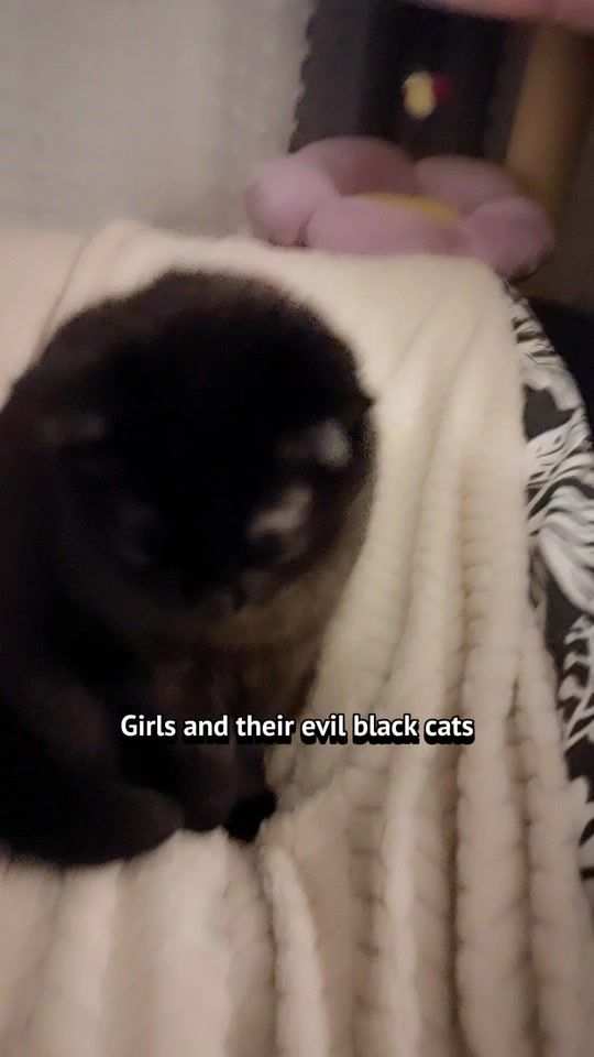 TikTok video thumbnail by kitty.theduchess