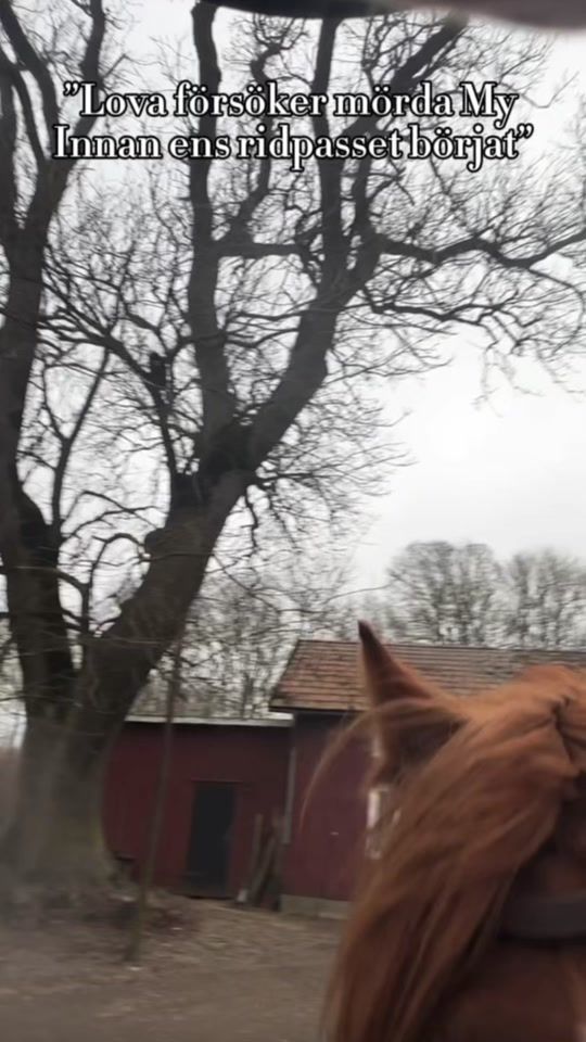 TikTok video thumbnail by _alice_eventing_