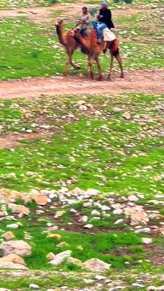 TikTok video thumbnail by 3rjjj.5