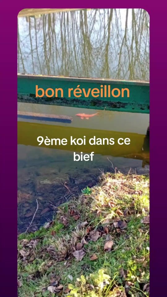 TikTok video thumbnail by bertrandrodrigue
