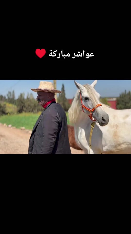 TikTok video thumbnail by live.tv676