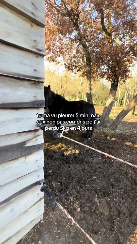 TikTok video thumbnail by ella.jumpp_