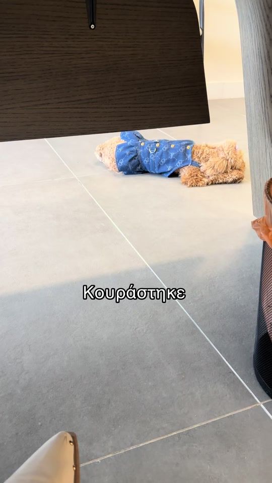 TikTok video thumbnail by karalaik
