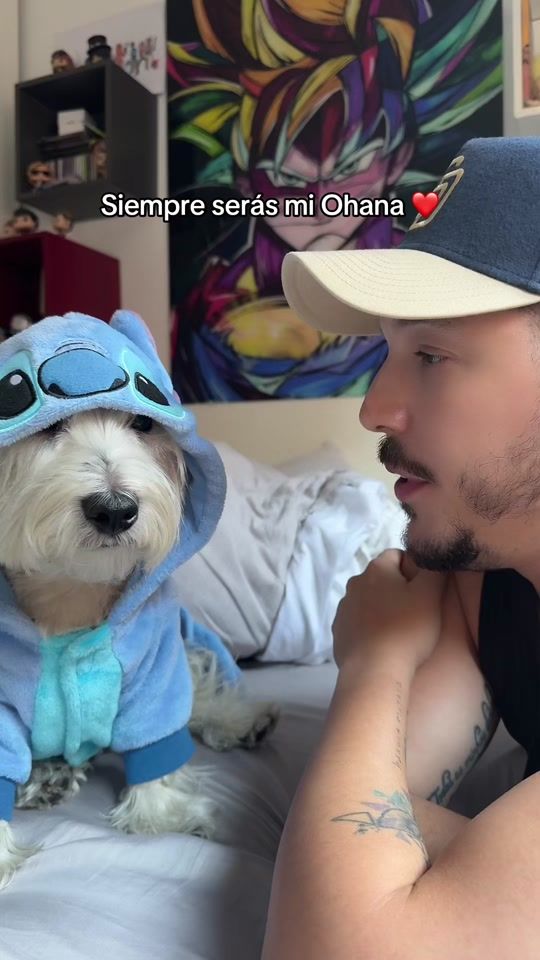 TikTok video thumbnail by manualerod