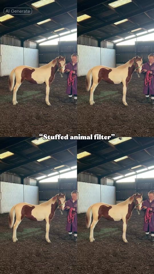TikTok video thumbnail by kbequestrian0
