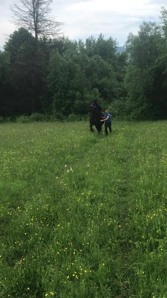TikTok video thumbnail by promovari.cai.romania2.6