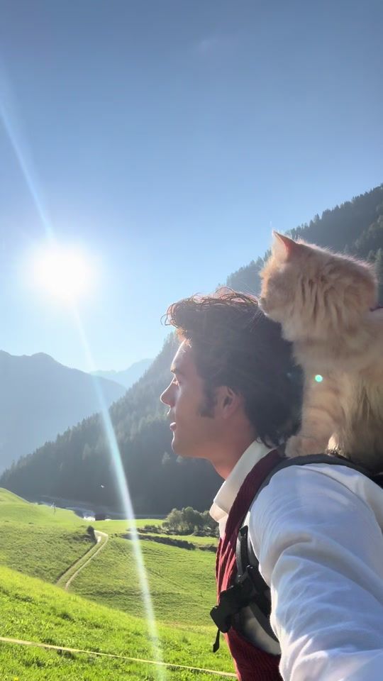 TikTok video thumbnail by peter_mai_