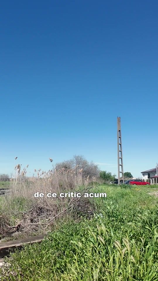 TikTok video thumbnail by emanuel_ion_official_