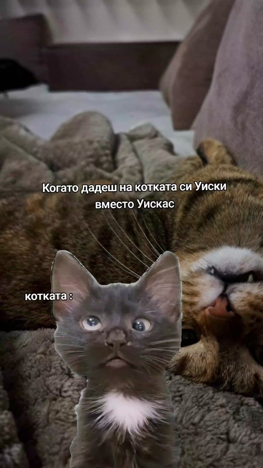 TikTok video thumbnail by venelina.iv