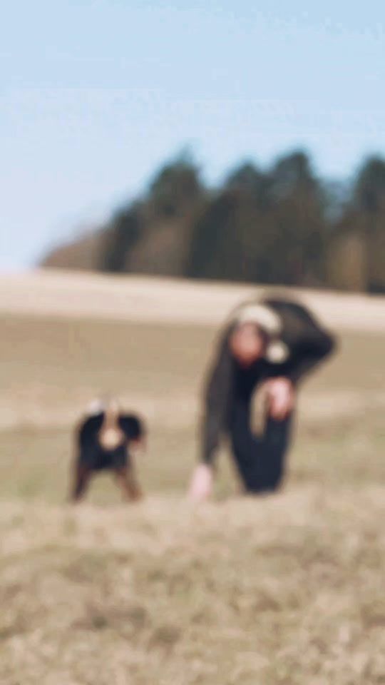 TikTok video thumbnail by dogdentity