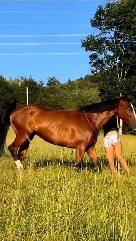 TikTok video thumbnail by ben.ahmed.foued