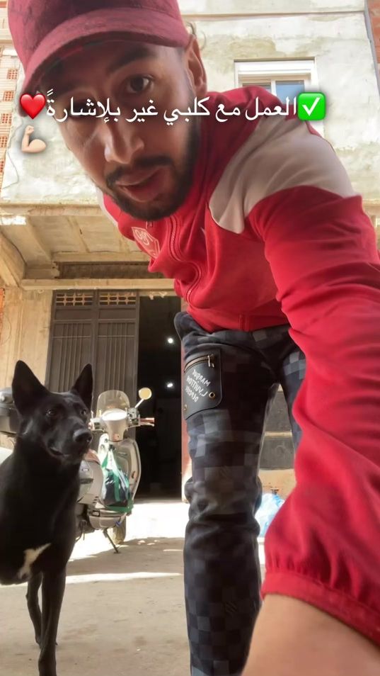 TikTok video thumbnail by __nadir2
