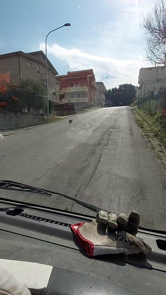 TikTok video thumbnail by alexmaggiore088