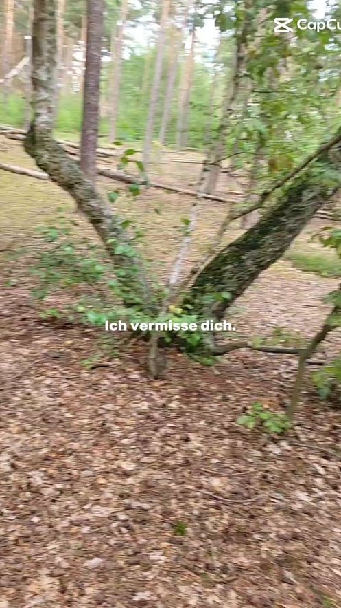 TikTok video thumbnail by dino_loki2024