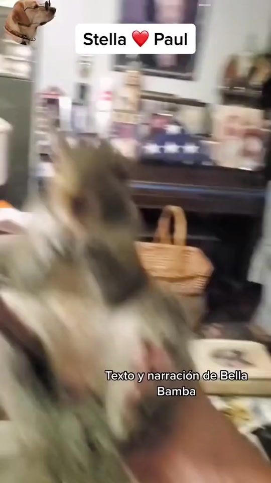 TikTok video thumbnail by bella_bamba