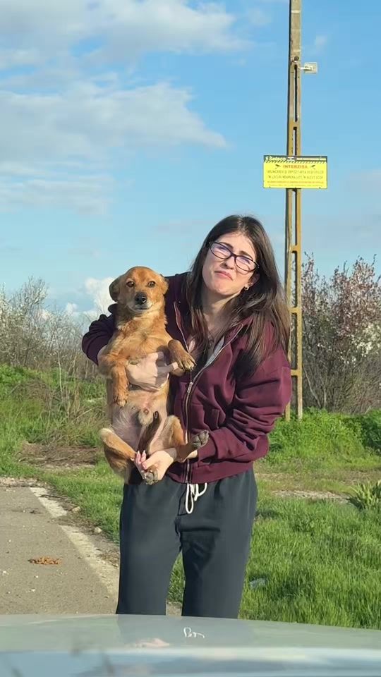 TikTok video thumbnail by adina_oanta