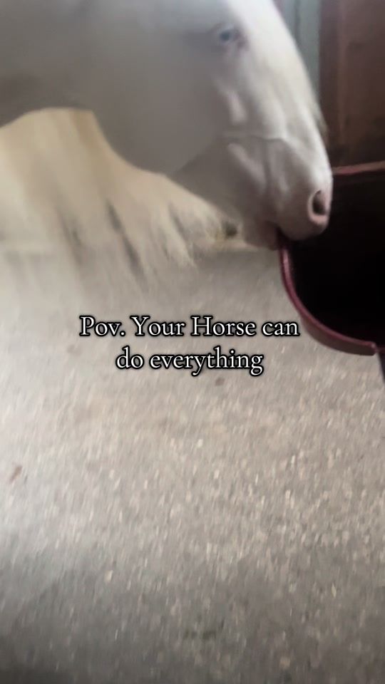 TikTok video thumbnail by _nadine_frei_