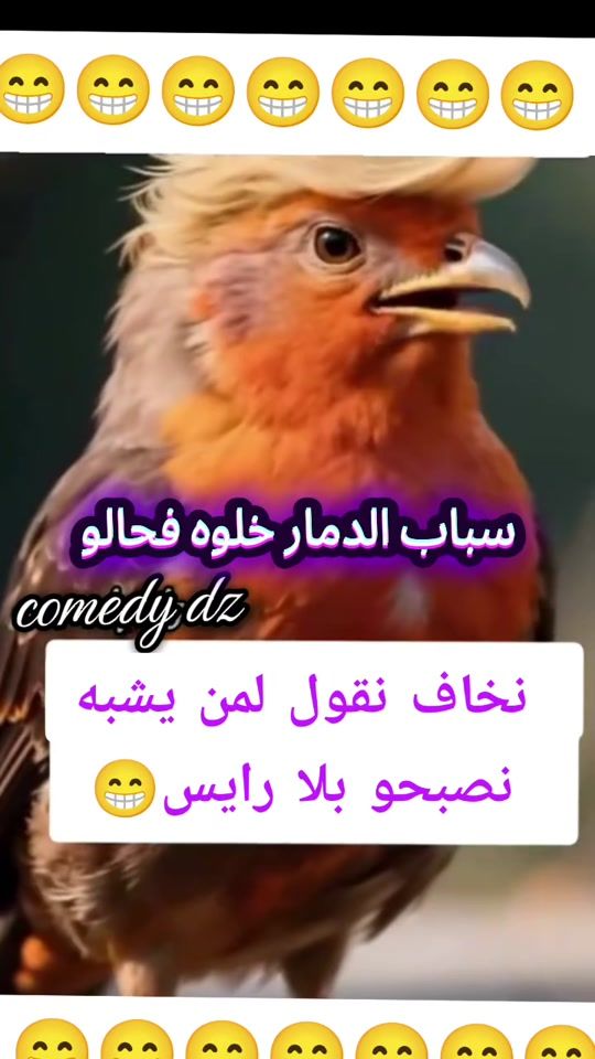 TikTok video thumbnail by comedy.dz3