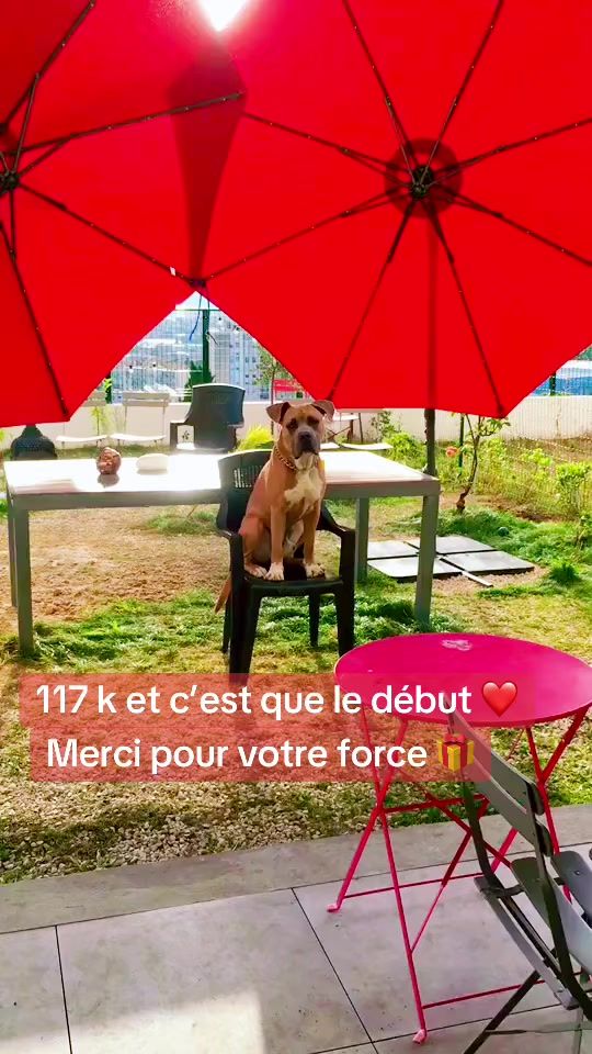 TikTok video thumbnail by la_vie_de_ace