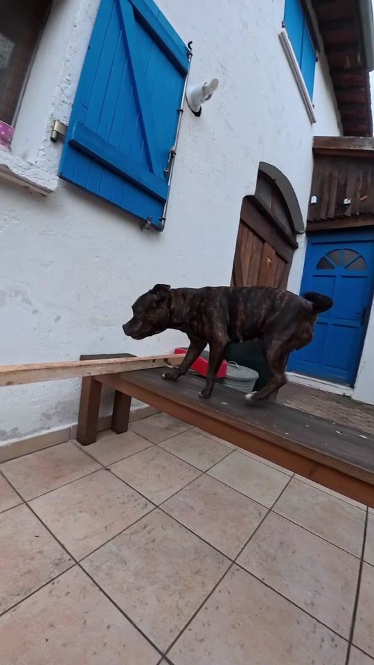 TikTok video thumbnail by noia.staffy