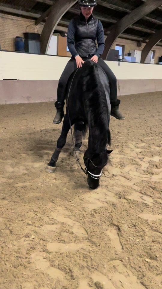 TikTok video thumbnail by equestsoff