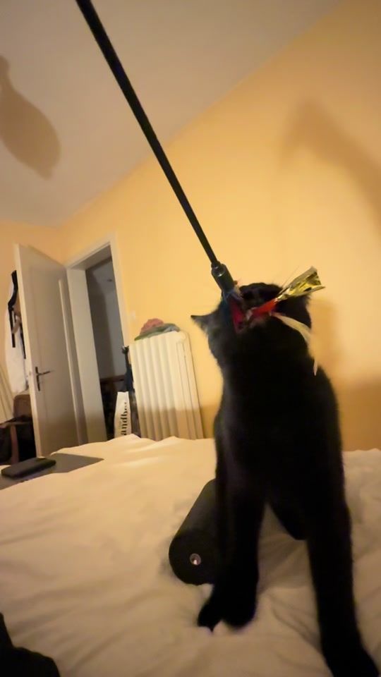 TikTok video thumbnail by pabloepicasso