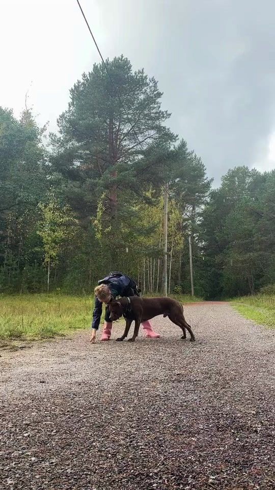 TikTok video thumbnail by marikdogs