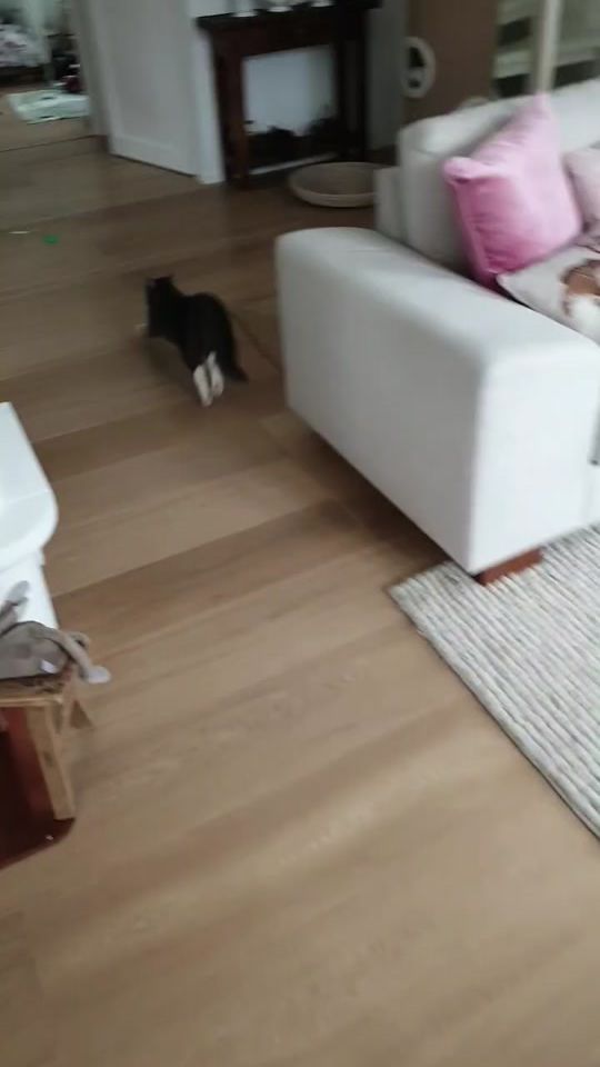 TikTok video thumbnail by r.a.i.l.i