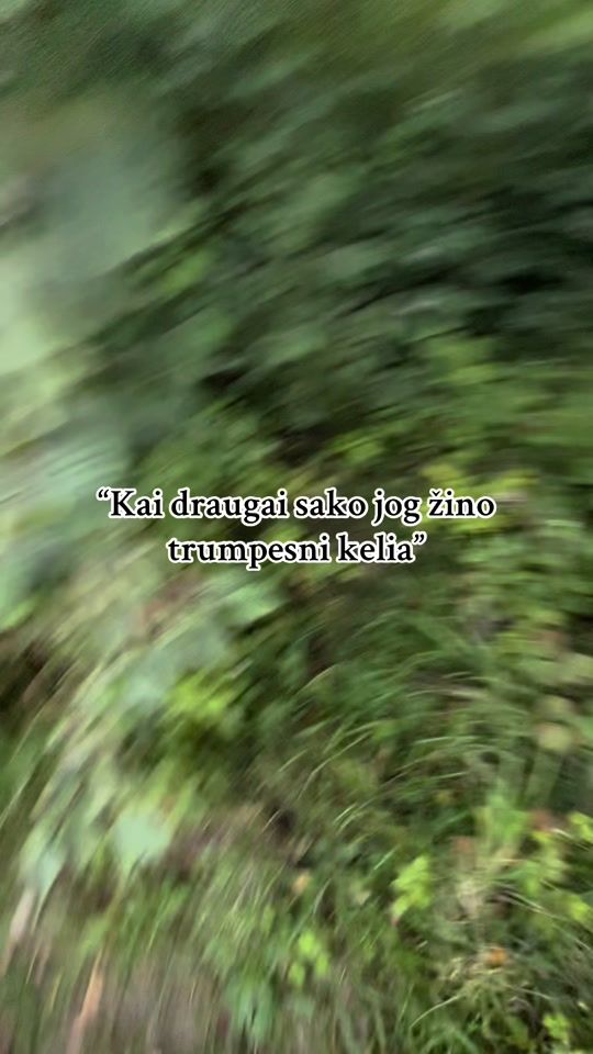 TikTok video thumbnail by dundukes