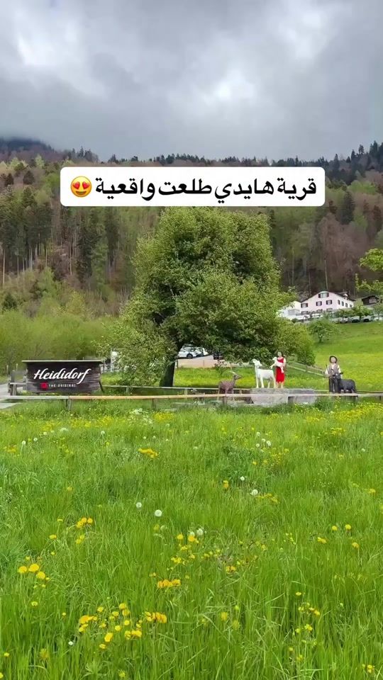TikTok video thumbnail by swiss_with_ayham