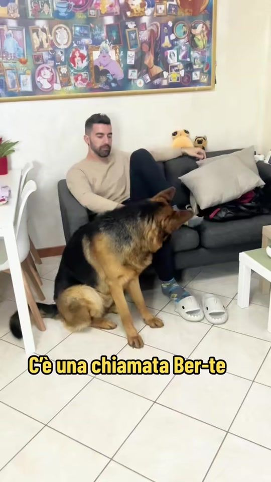 TikTok video thumbnail by ilaria.stefano