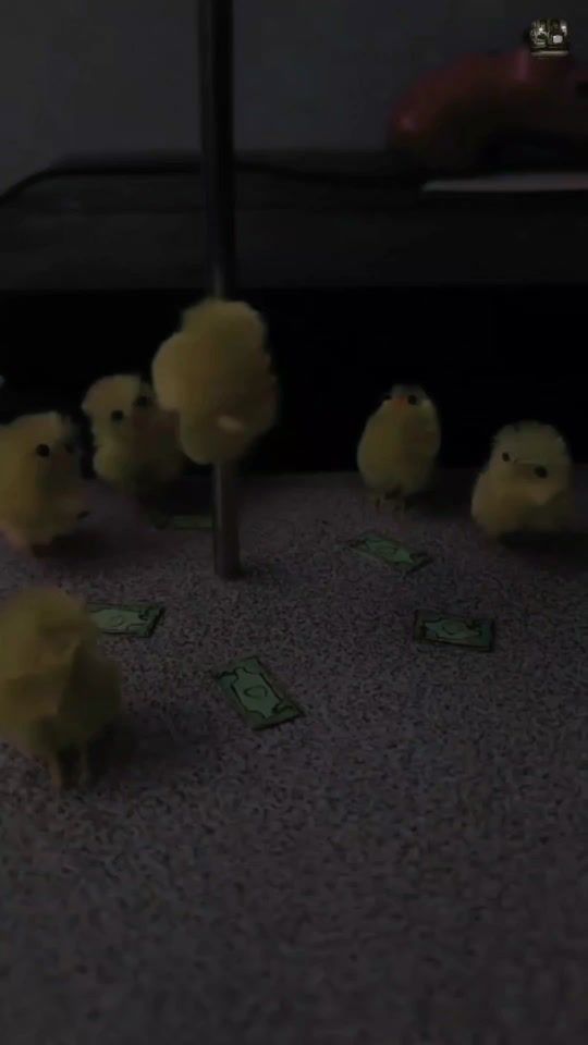 TikTok video thumbnail by letras.para.tu