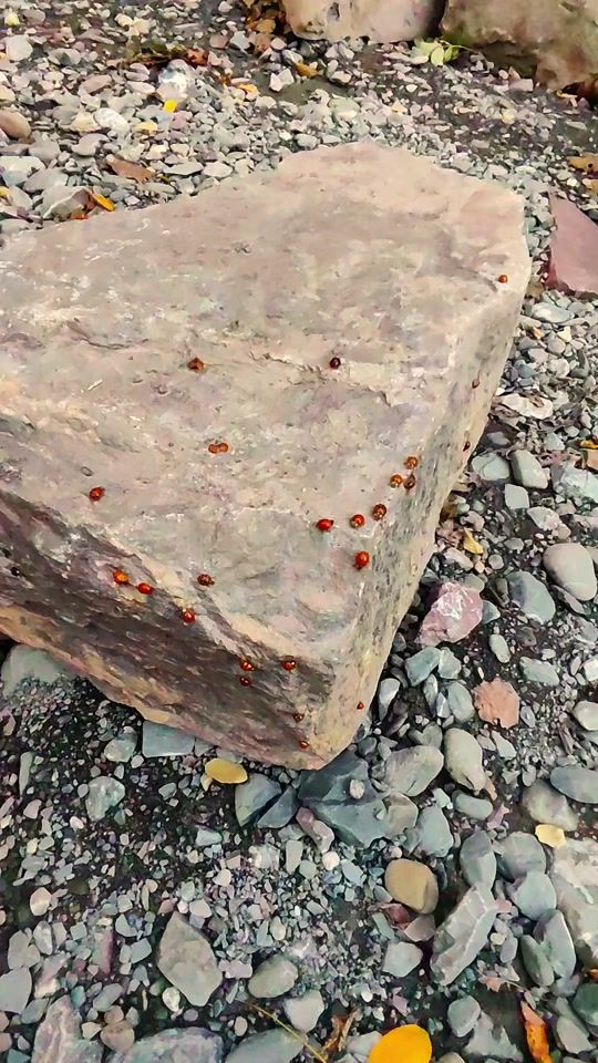TikTok video thumbnail by 123kostas5