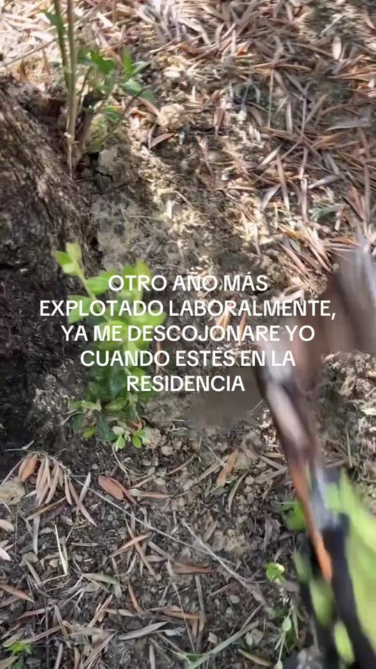TikTok video thumbnail by er_arvaro29