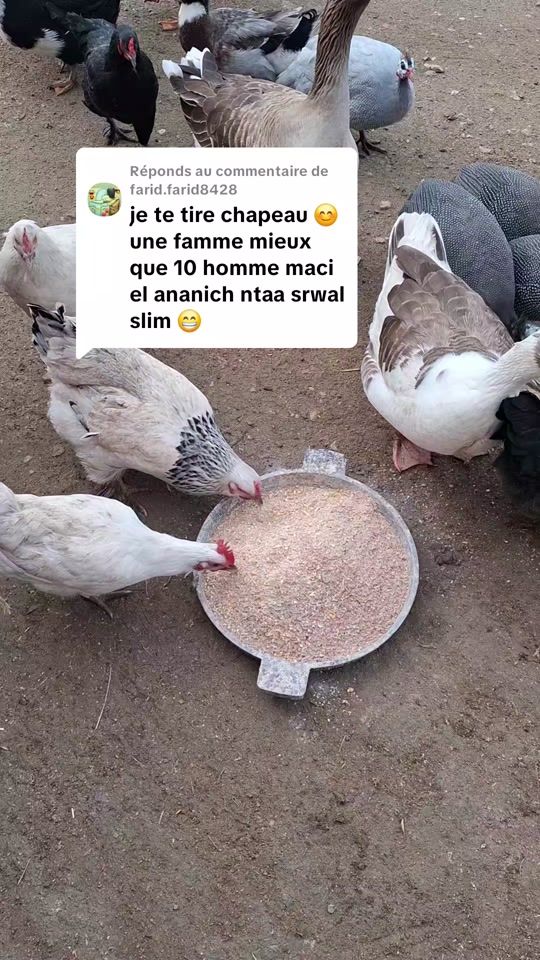 TikTok video thumbnail by bejaia..0616