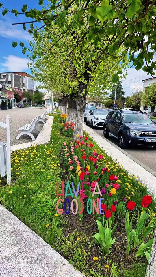 TikTok video thumbnail by gabrielroman.66