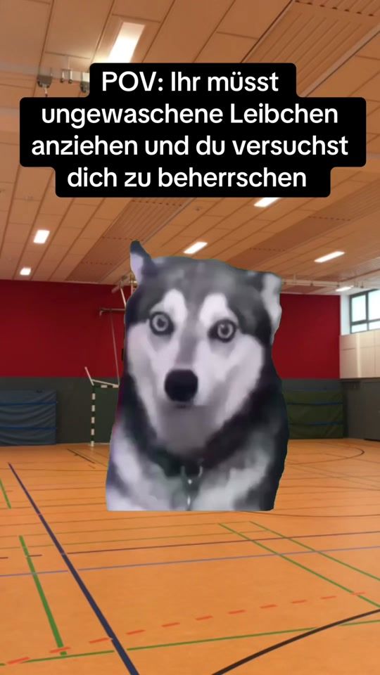 TikTok video thumbnail by handballmeme