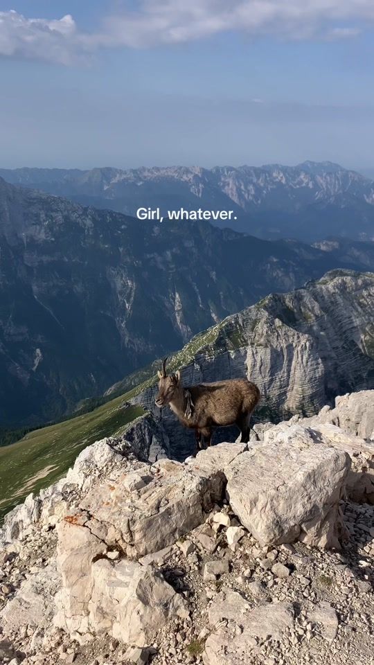 TikTok video thumbnail by gozdnavila