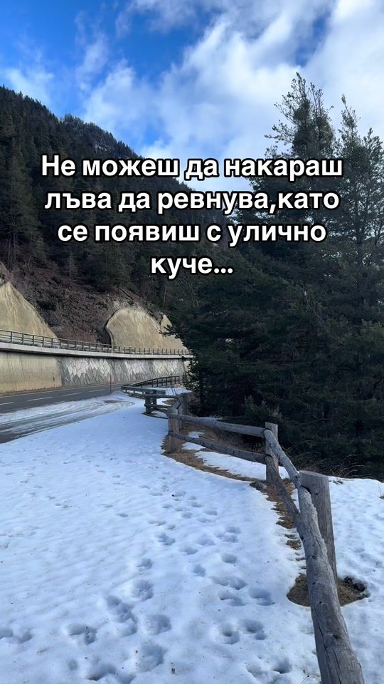 TikTok video thumbnail by stelio.9969