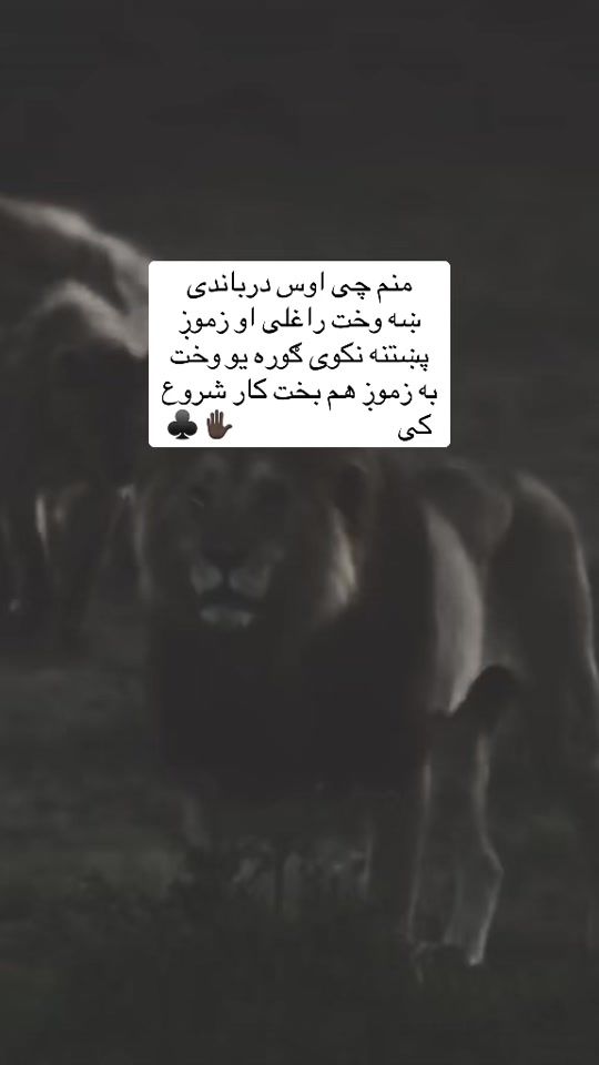 TikTok video thumbnail by a__l__i430