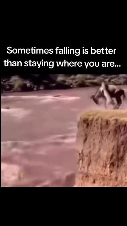 TikTok video thumbnail by en_eayto__