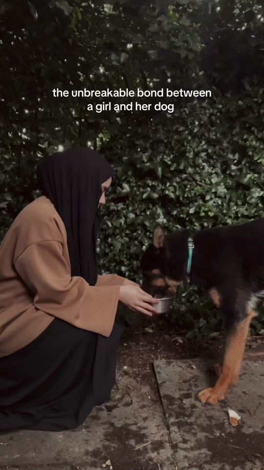 TikTok video thumbnail by rs.shalabi