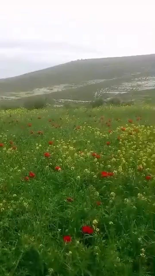 TikTok video thumbnail by gazal__s