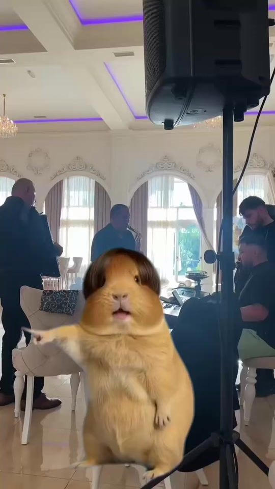 TikTok video thumbnail by marianjaponezu