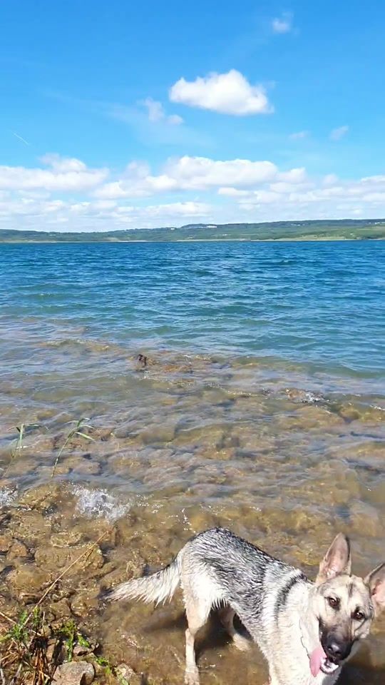 TikTok video thumbnail by ani.ne